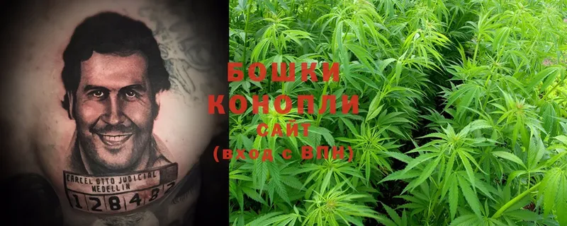 где найти наркотики  Куса  Канабис LSD WEED 